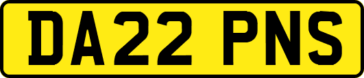 DA22PNS