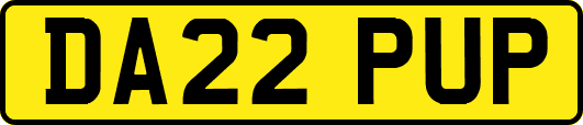 DA22PUP