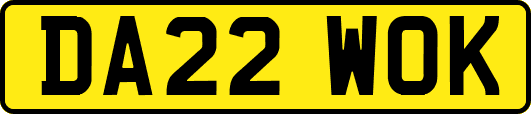 DA22WOK