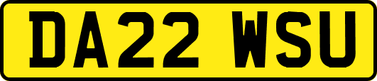 DA22WSU