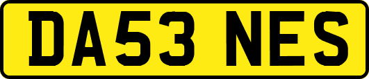 DA53NES