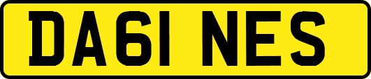 DA61NES