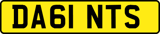 DA61NTS