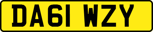 DA61WZY