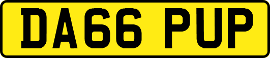 DA66PUP