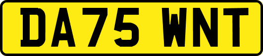 DA75WNT