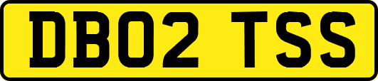 DB02TSS