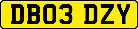 DB03DZY