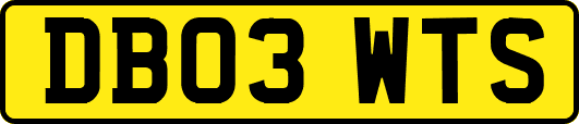 DB03WTS