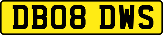 DB08DWS