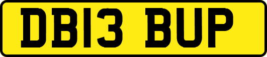 DB13BUP