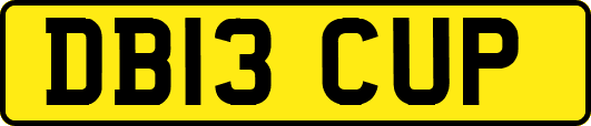 DB13CUP
