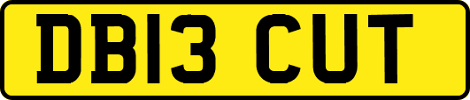 DB13CUT
