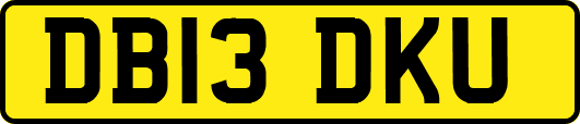 DB13DKU