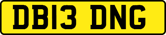 DB13DNG