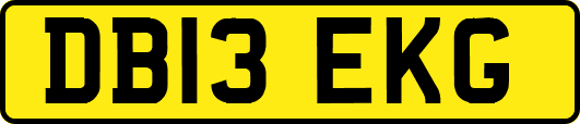 DB13EKG