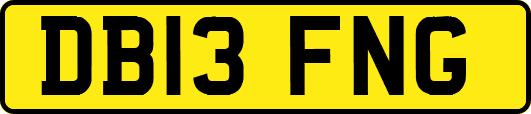 DB13FNG