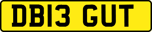 DB13GUT