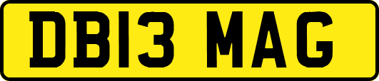 DB13MAG