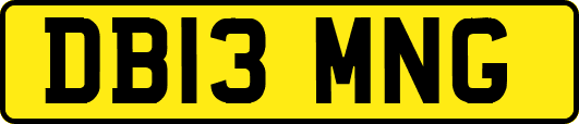 DB13MNG
