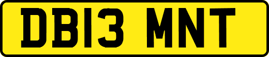 DB13MNT