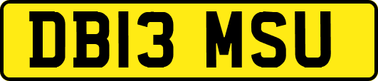 DB13MSU