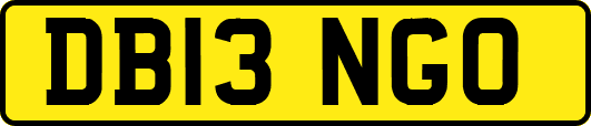 DB13NGO