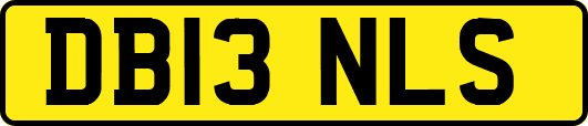 DB13NLS