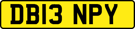 DB13NPY