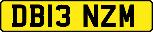 DB13NZM