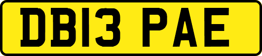DB13PAE