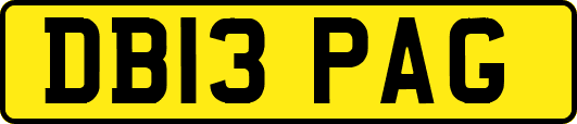 DB13PAG
