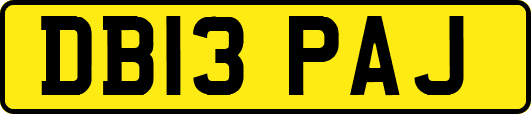 DB13PAJ