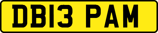 DB13PAM