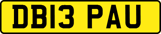 DB13PAU