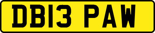 DB13PAW