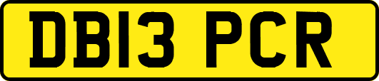 DB13PCR