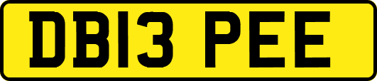 DB13PEE