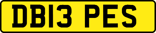 DB13PES