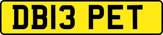 DB13PET