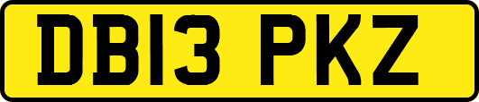 DB13PKZ
