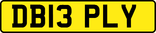DB13PLY