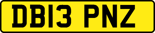 DB13PNZ