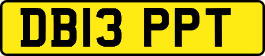 DB13PPT