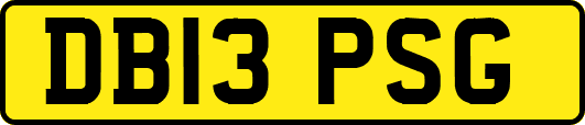DB13PSG