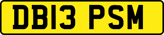 DB13PSM