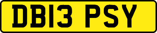 DB13PSY