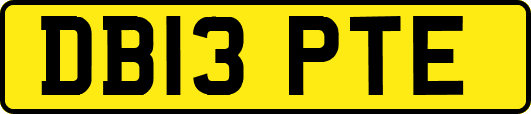 DB13PTE