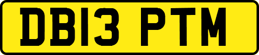 DB13PTM