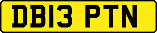 DB13PTN